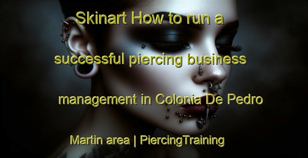 Skinart How to run a successful piercing business management in Colonia De Pedro Martin area | PiercingTraining | PiercingClasses | SkinartTraining-Mexico